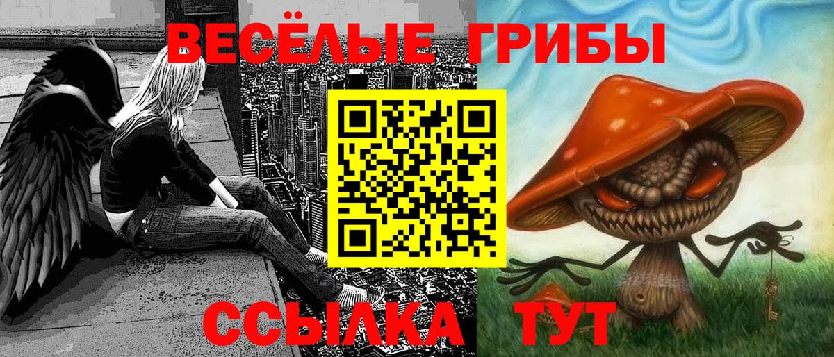 закладки  Галлюциногенные грибы мицелий  Псилоцибиновые грибы мухоморы  Вход с VPN  Псков 