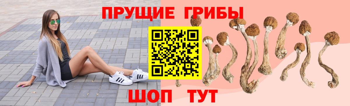 Псилоцибиновые грибы прущие грибы Псков